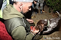 VBS_6408 - Inaugurazione Stagione 2022-23 Simulazione Ricerca Tartufo